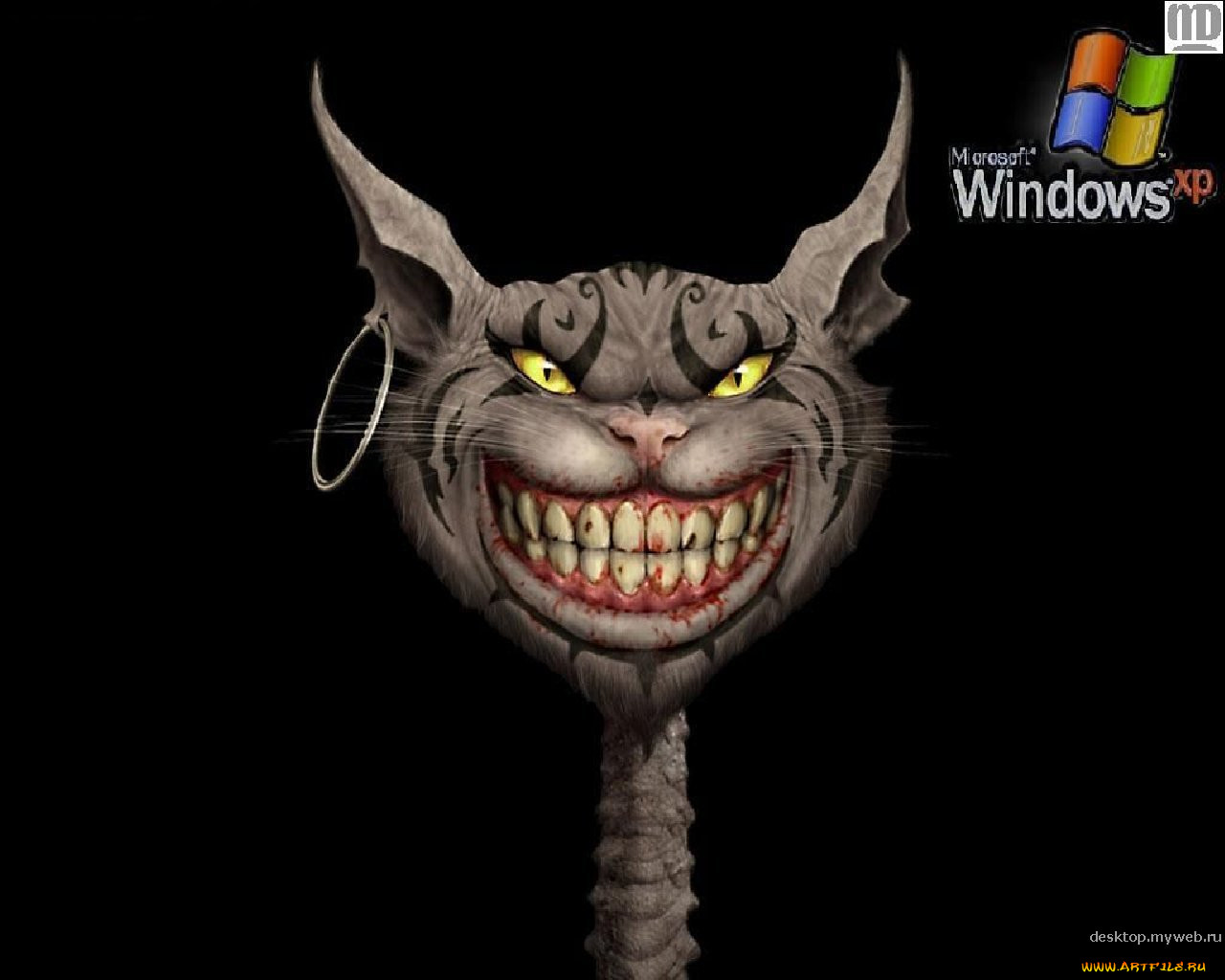 , windows, xp